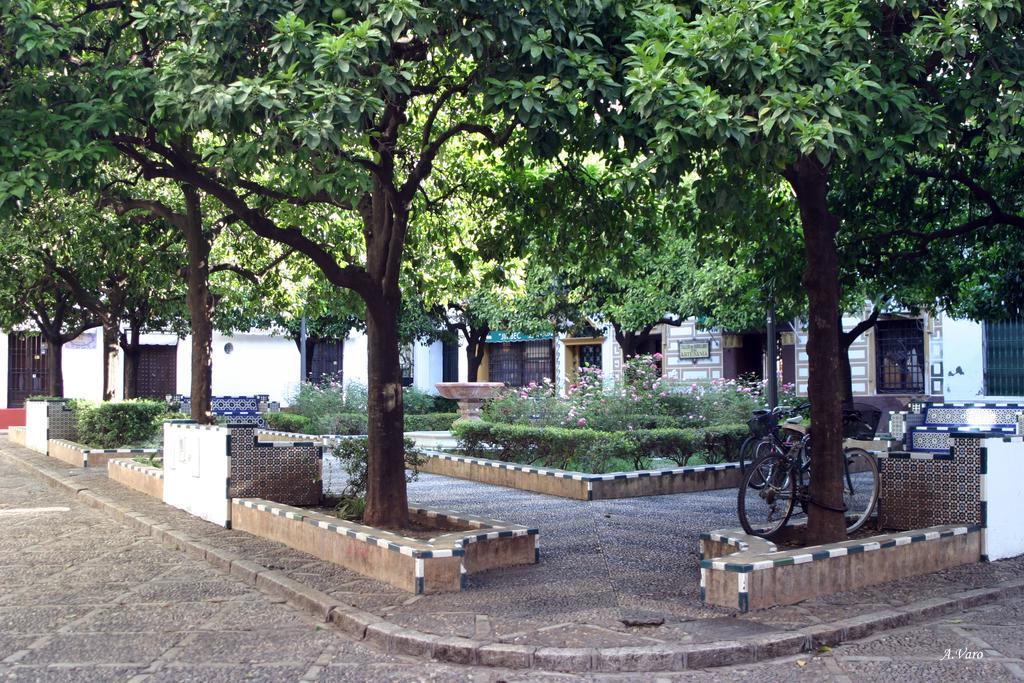Doña Lina Siviglia
